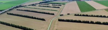 plan de gestion durable de la haie (PGDH)