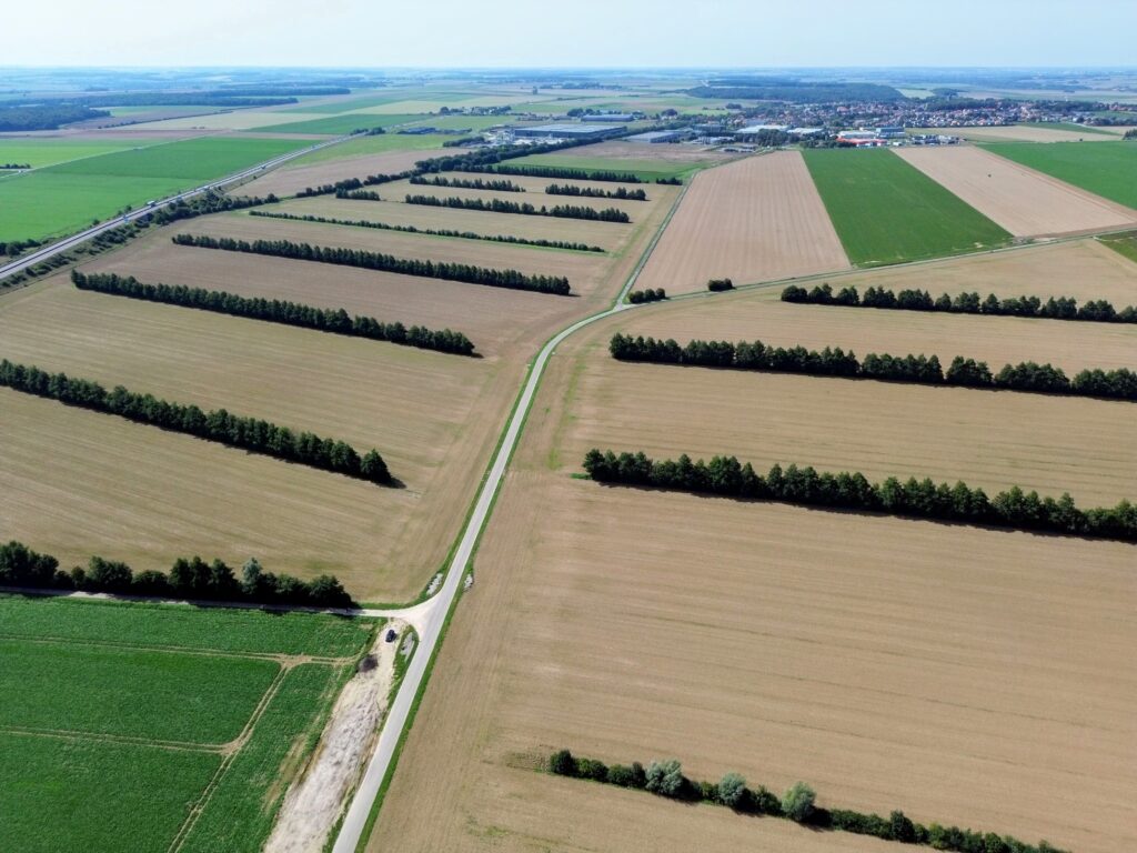 Vue aérienne de haies alignées entre des parcelles cultivées
